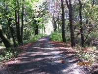 IMG_2527.jpg, 35kB